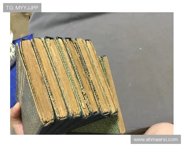 骞插反澶у彅灏忓竼鑸瑰啀杩滆埅锛氶仐鐗╁敭鍑虹画閬楁効